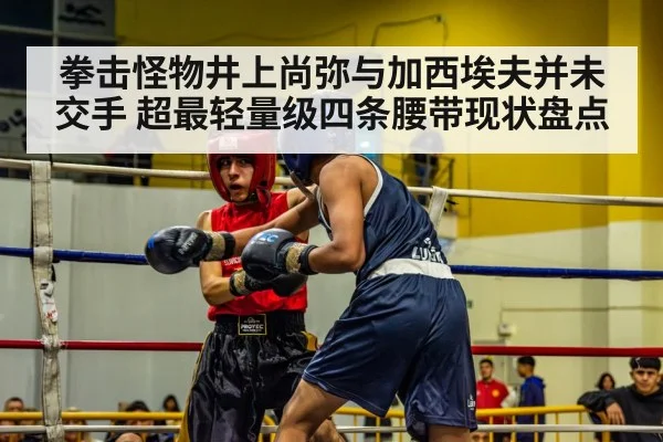 拳击怪物井上尚弥与加西埃夫并未交手 超最轻量级四条腰带现状盘点